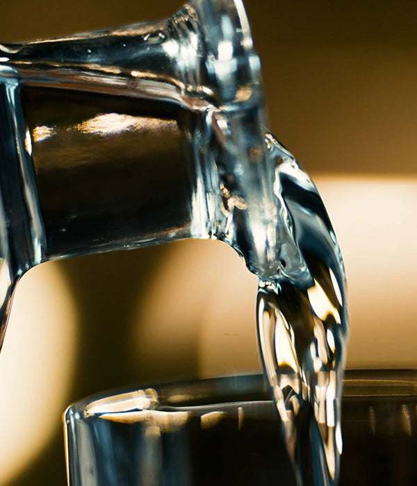 How to serve The Ghentist gin?