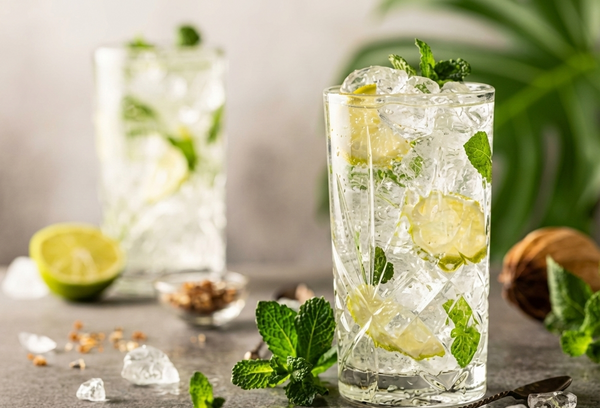 Gin Mojito